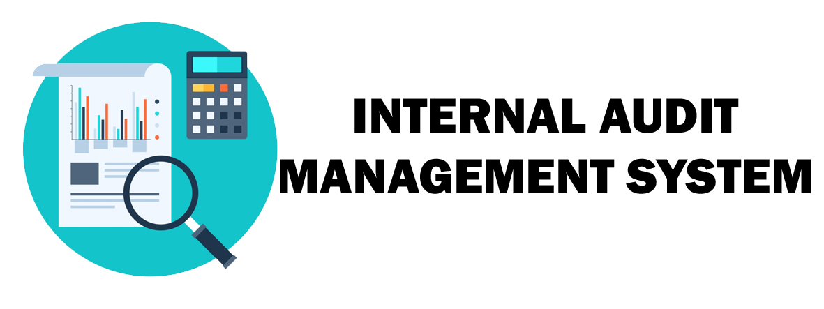Internal Audit Management System